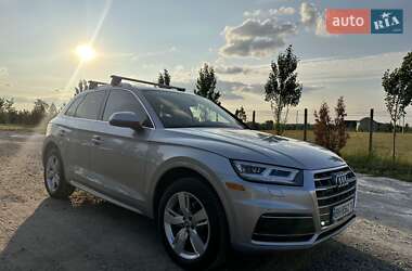 Внедорожник / Кроссовер Audi Q5 2019 в 