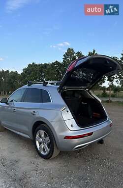 Внедорожник / Кроссовер Audi Q5 2019 в 