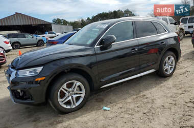 Внедорожник / Кроссовер Audi Q5 2019 в Львове