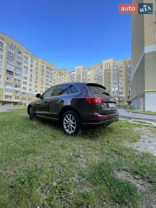Внедорожник / Кроссовер Audi Q5 2010 в Львове