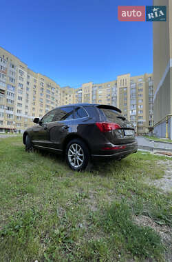 Внедорожник / Кроссовер Audi Q5 2010 в 