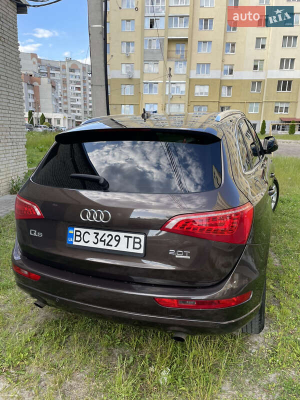 Внедорожник / Кроссовер Audi Q5 2010 в Львове