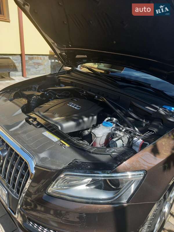 Внедорожник / Кроссовер Audi Q5 2014 в Мукачево фото 11 Внедорожник / Кроссовер Audi Q5 2014 в Мукачево