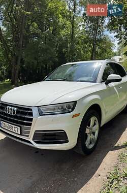 Внедорожник / Кроссовер Audi Q5 2019 в 