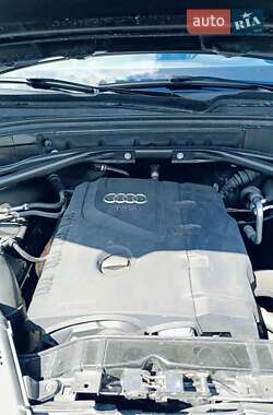 Внедорожник / Кроссовер Audi Q5 2015 в 
