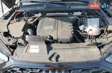 Внедорожник / Кроссовер Audi Q5 2023 в 