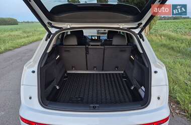 Позашляховик / Кросовер Audi Q5 2024 в 