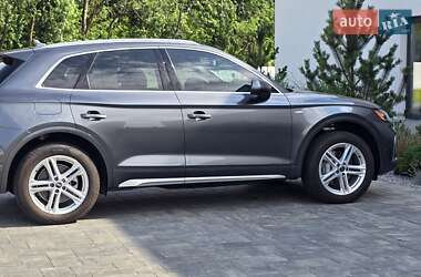 Внедорожник / Кроссовер Audi Q5 2023 в 
