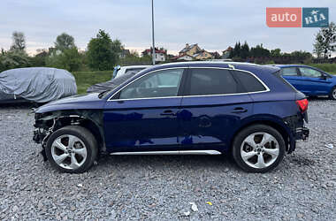 Внедорожник / Кроссовер Audi Q5 2022 в 