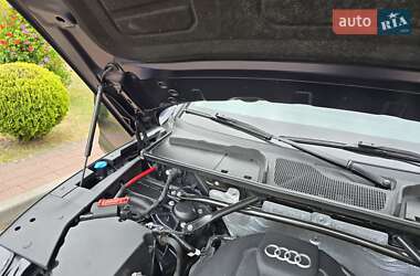 Внедорожник / Кроссовер Audi Q5 2019 в 