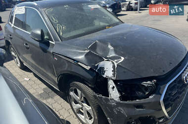 Внедорожник / Кроссовер Audi Q5 2023 в 