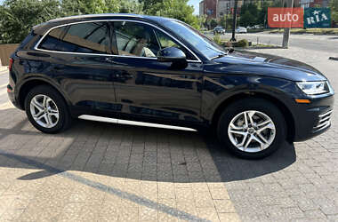 Внедорожник / Кроссовер Audi Q5 2019 в 