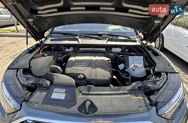 Внедорожник / Кроссовер Audi Q5 2023 в 