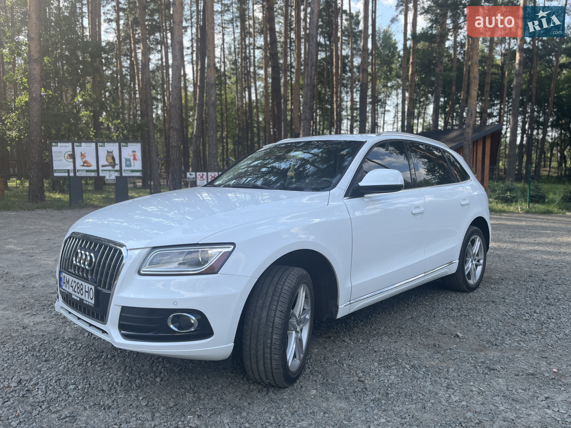 2013 Audi Q5 - мініатюра 2