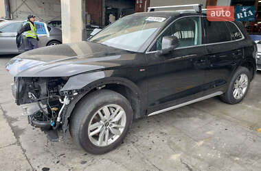 Позашляховик / Кросовер Audi Q5 2024 в Києві