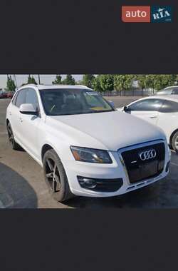 Внедорожник / Кроссовер Audi Q5 2009 в Днепре
