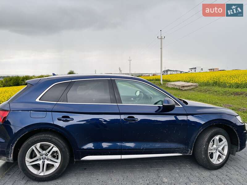 Внедорожник / Кроссовер Audi Q5 2019 в Львове фото 15 Внедорожник / Кроссовер Audi Q5 2019 в Львове
