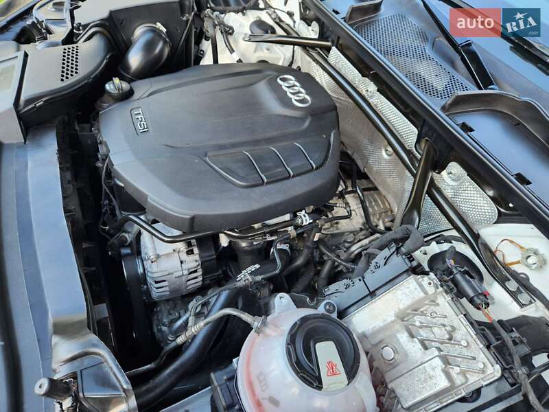 Внедорожник / Кроссовер Audi Q5 2019 в Коростене фото 12 Внедорожник / Кроссовер Audi Q5 2019 в Коростене