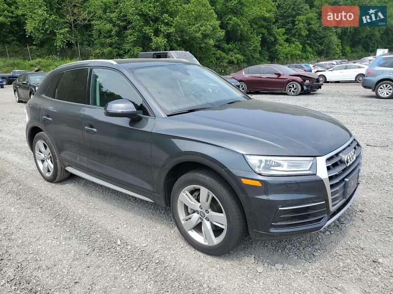 Внедорожник / Кроссовер Audi Q5 2018 в Житомире