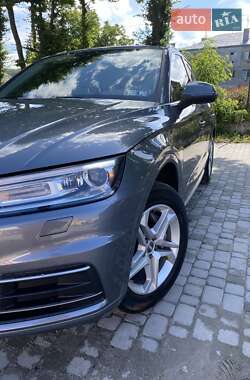 Внедорожник / Кроссовер Audi Q5 2019 в 