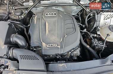 Внедорожник / Кроссовер Audi Q5 2017 в 