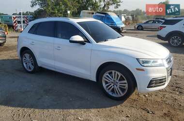 Внедорожник / Кроссовер Audi Q5 2019 в 
