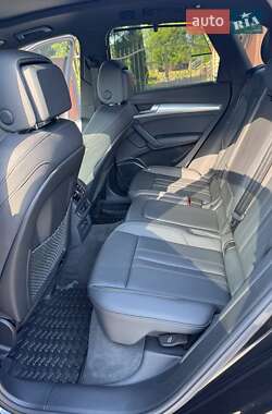Внедорожник / Кроссовер Audi Q5 2024 в 