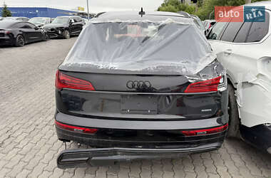 Внедорожник / Кроссовер Audi Q5 2023 в 