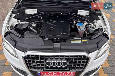 Внедорожник / Кроссовер Audi Q5 2017 в 