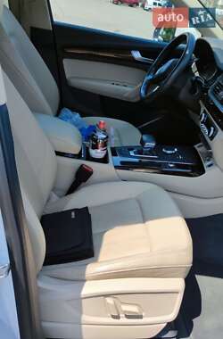 Внедорожник / Кроссовер Audi Q5 2019 в 