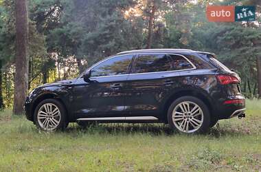 Внедорожник / Кроссовер Audi Q5 2019 в 