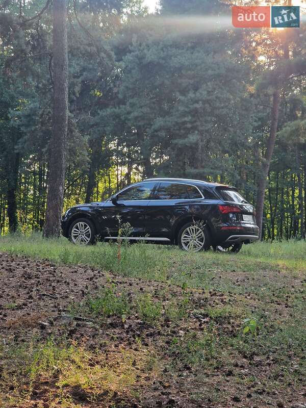 Внедорожник / Кроссовер Audi Q5 2019 в Ахтырке