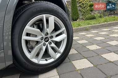Внедорожник / Кроссовер Audi Q5 2023 в 