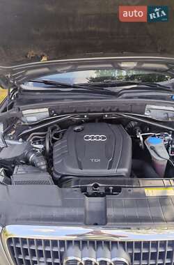 Внедорожник / Кроссовер Audi Q5 2011 в 