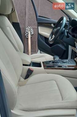 Внедорожник / Кроссовер Audi Q5 2019 в 