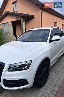 Внедорожник / Кроссовер Audi Q5 2009 в 