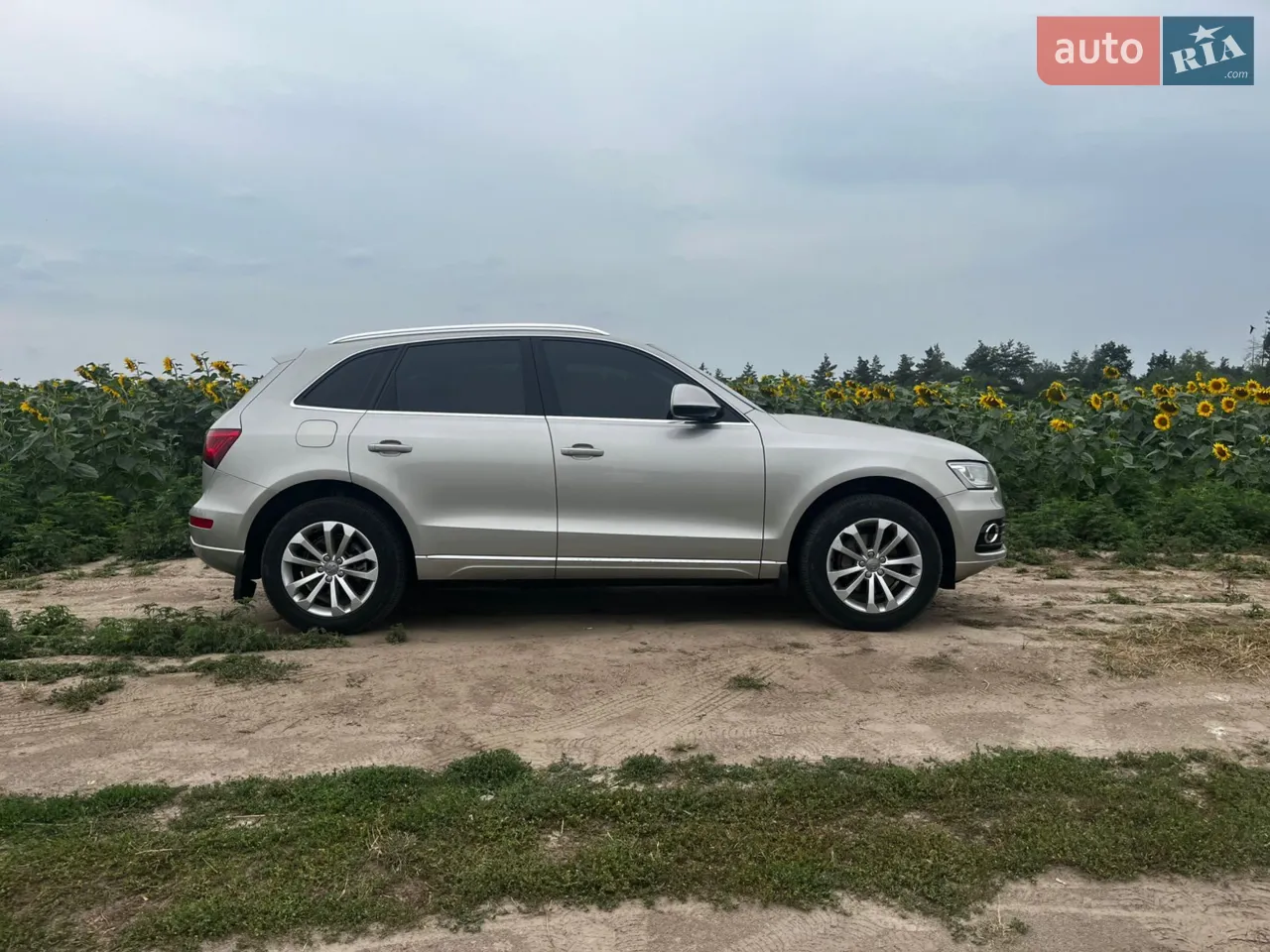 2015 Audi Q5 - мініатюра 31