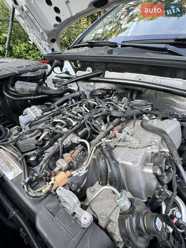 Внедорожник / Кроссовер Audi Q5 2021 в Киеве фото 42 Внедорожник / Кроссовер Audi Q5 2021 в Киеве