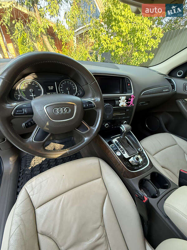 Внедорожник / Кроссовер Audi Q5 2013 в Киеве фото 6 Внедорожник / Кроссовер Audi Q5 2013 в Киеве