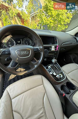 Внедорожник / Кроссовер Audi Q5 2013 в 