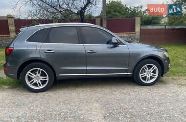 Внедорожник / Кроссовер Audi Q5 2016 в 