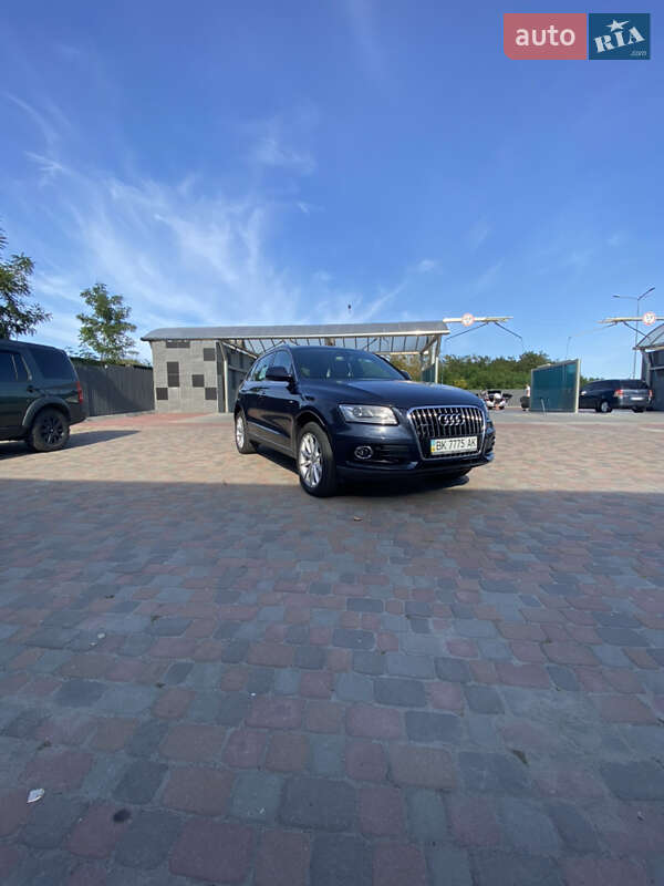 Внедорожник / Кроссовер Audi Q5 2016 в Сарнах фото 7 Внедорожник / Кроссовер Audi Q5 2016 в Сарнах