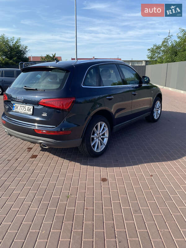 Внедорожник / Кроссовер Audi Q5 2016 в Сарнах фото 9 Внедорожник / Кроссовер Audi Q5 2016 в Сарнах