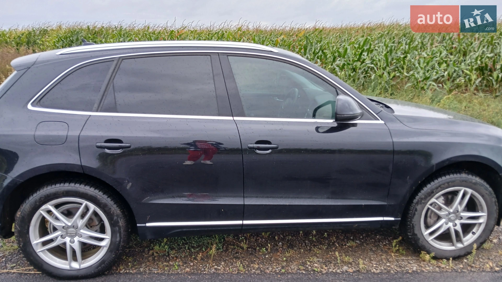 2012 Audi Q5 - мініатюра 2