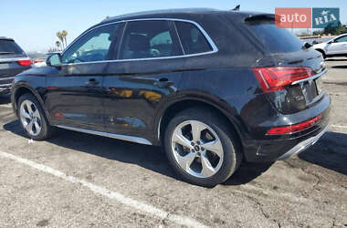 Внедорожник / Кроссовер Audi Q5 2021 в 