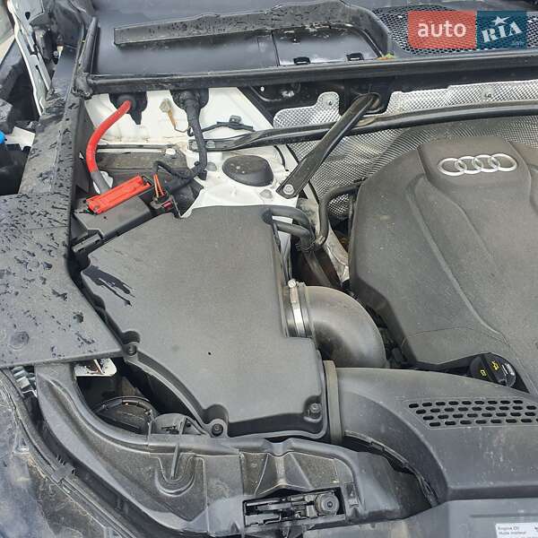 Внедорожник / Кроссовер Audi Q5 2017 в Луцке