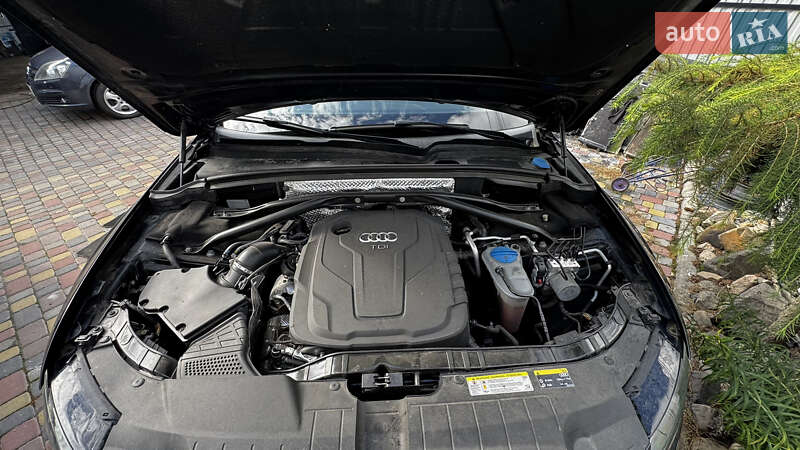 Внедорожник / Кроссовер Audi Q5 2016 в Камне-Каширском фото 27 Внедорожник / Кроссовер Audi Q5 2016 в Камне-Каширском