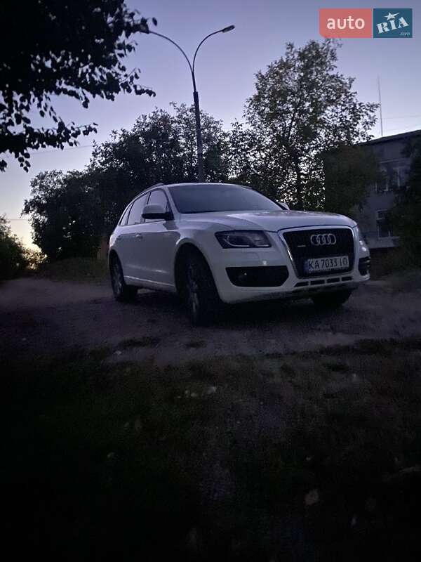Audi Q5 2010