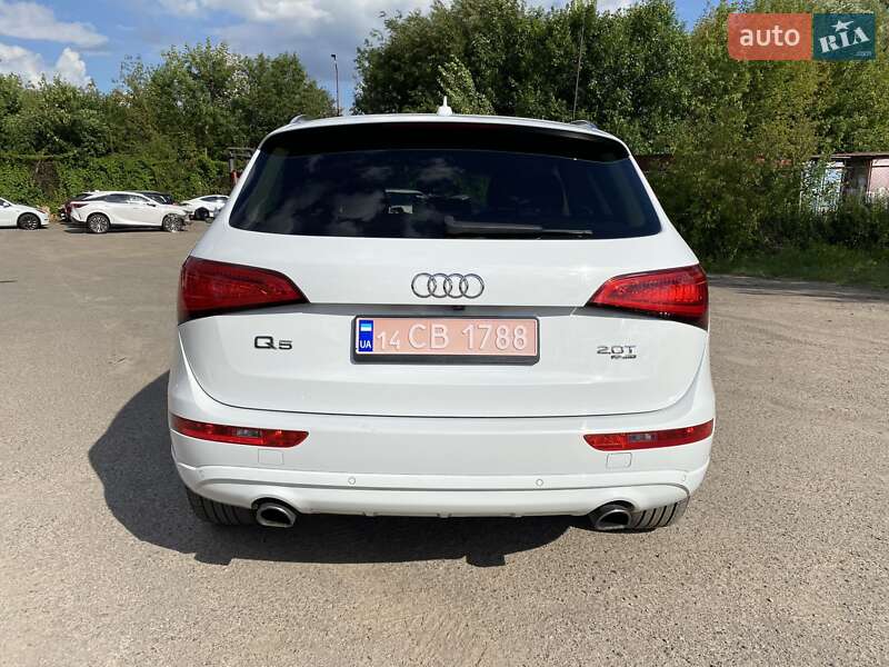 Внедорожник / Кроссовер Audi Q5 2012 в Луцке фото 6 Внедорожник / Кроссовер Audi Q5 2012 в Луцке