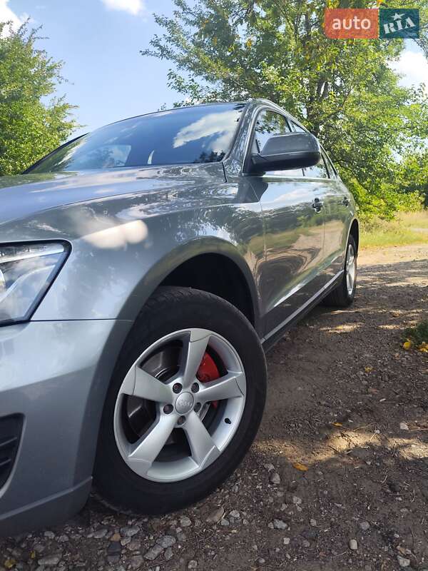Внедорожник / Кроссовер Audi Q5 2011 в Гадяче